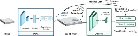 DyRA: Dynamic Resolution Adjustment For Scale.